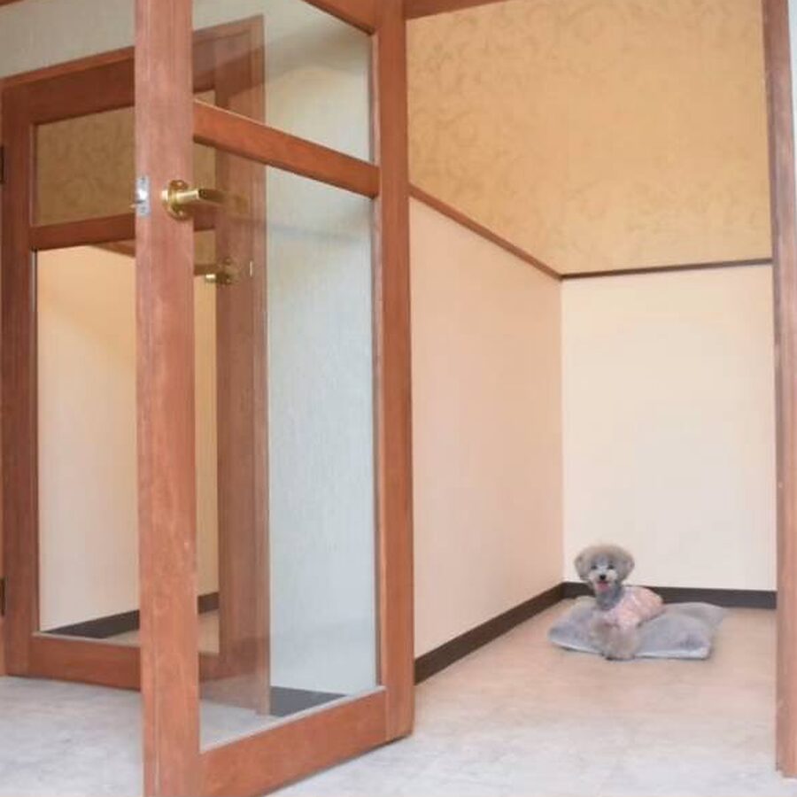 木の枠のガラス戸がついた個室が並び、奥の広い部屋でトイプードルがクッションに座っている